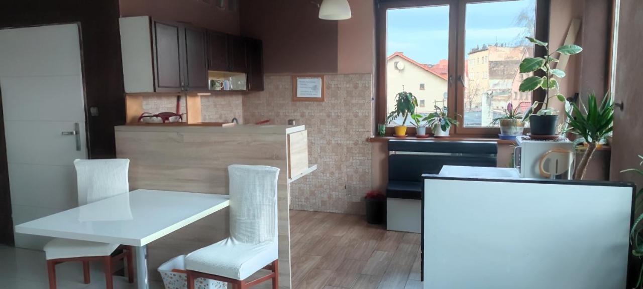 Noclegi Centrum Jelenia Góra Exterior foto